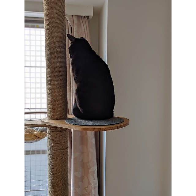 Pokkeさんの実例写真