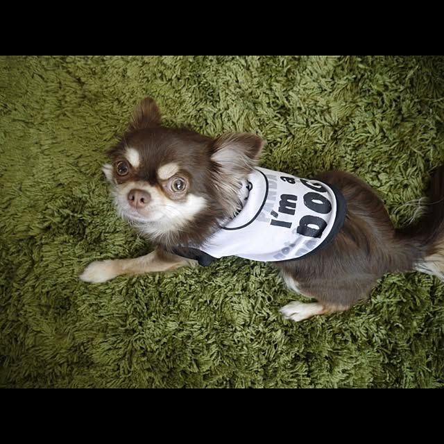 emibeiさんの実例写真