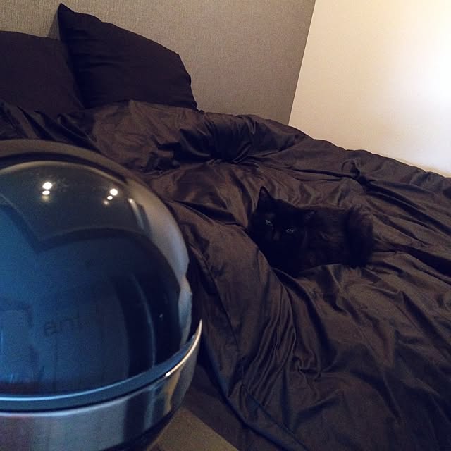 blkさんの実例写真