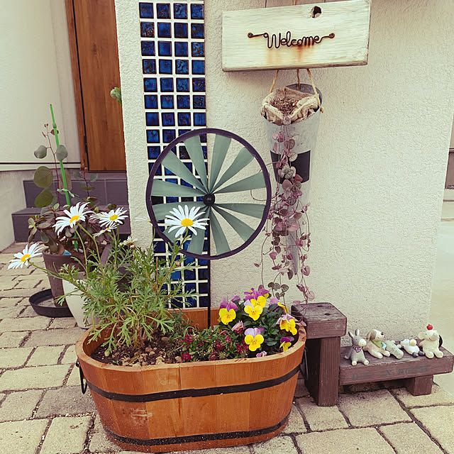 otoさんの実例写真