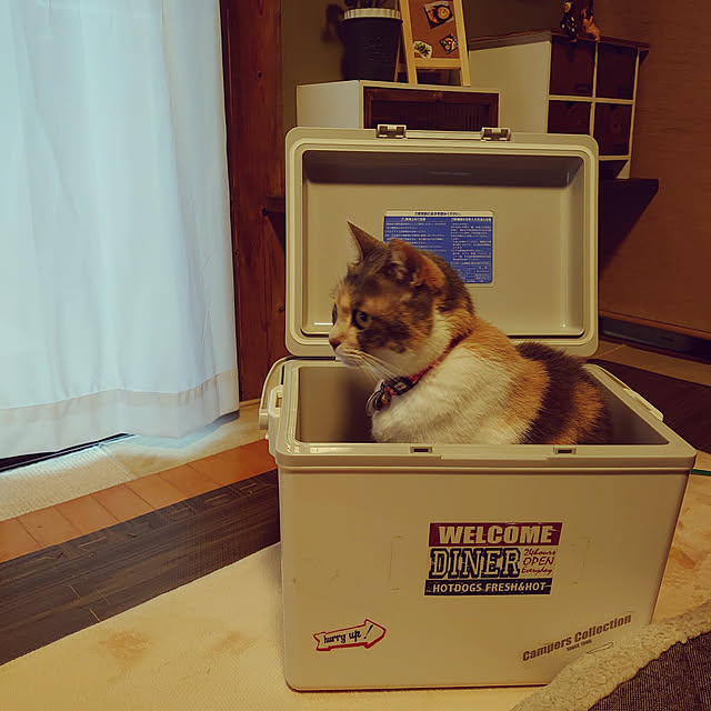 fukuさんの実例写真
