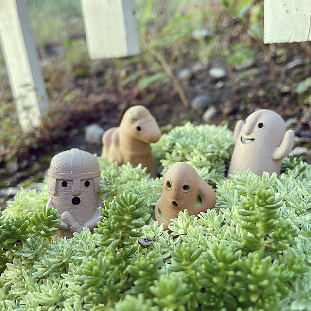 はにわがいるよ♪/セダム古墳ฅʕ•̫͡•ʔฅ/ガチャガチャ/つくえではない/机のインテリア実例 - 2022-08-19 16:30:21