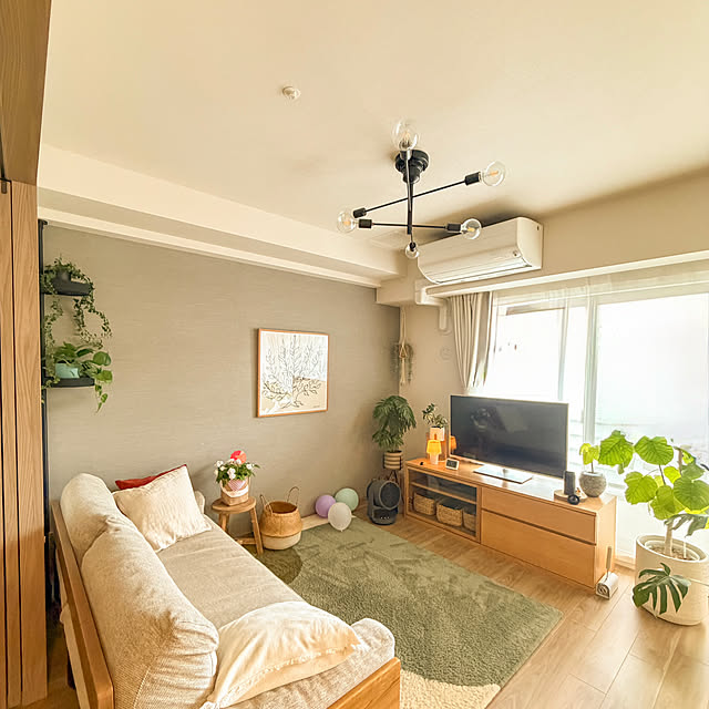 Anthuriumさんの部屋