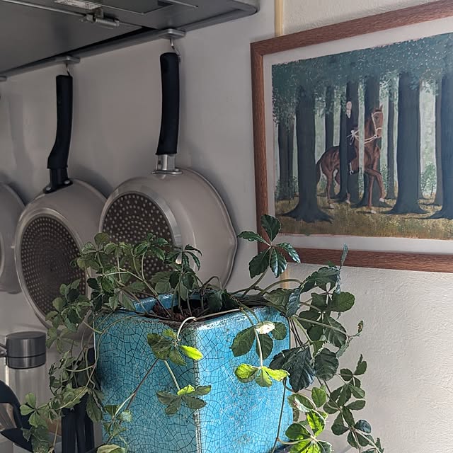 flannel.さんの部屋