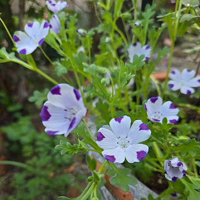 min_nimさんの実例写真