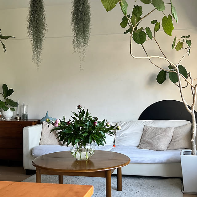 BigWinksさんの部屋