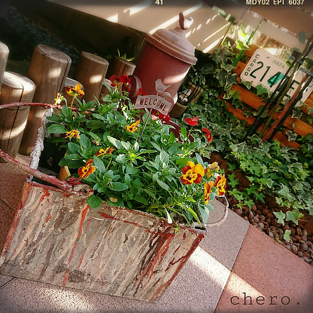 chero.さんの実例写真