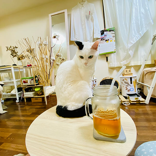 YUKAさんの実例写真
