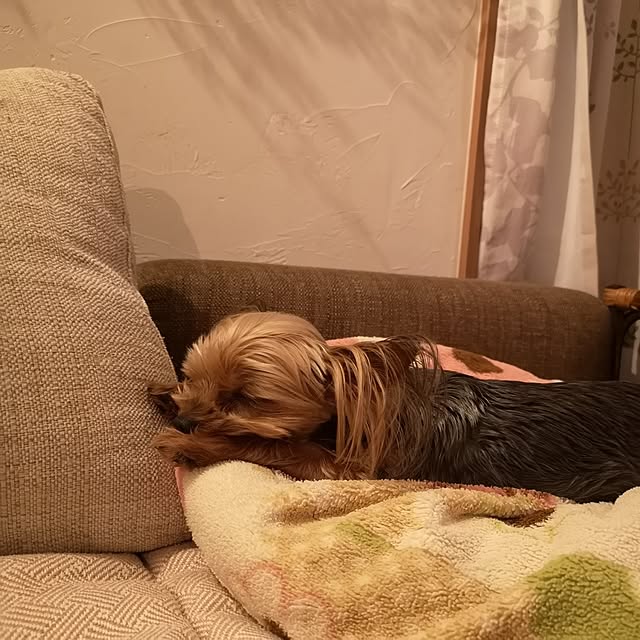 akiさんの部屋
