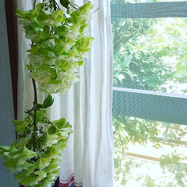 taetae20nikonikoさんの実例写真