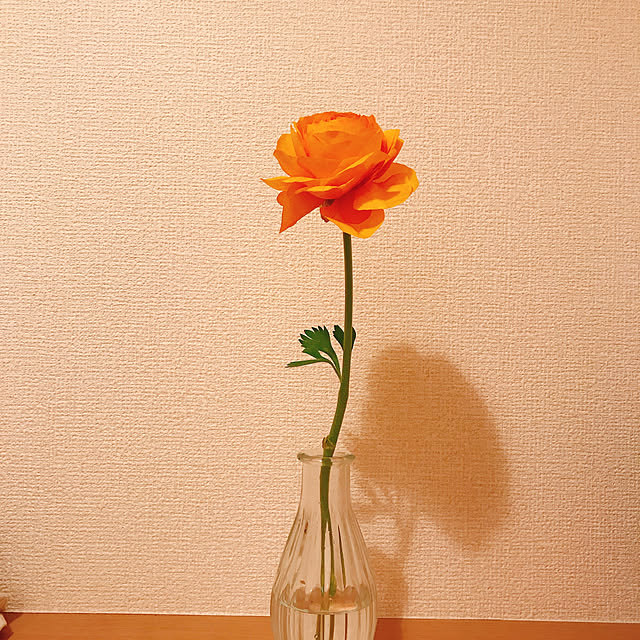 rin...さんの実例写真