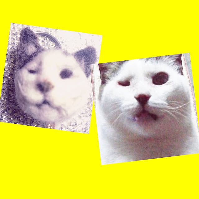 marikoさんの実例写真