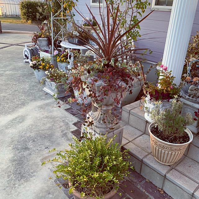 AYUKOさんの実例写真