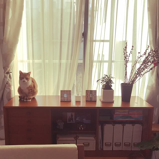 madocafeさんの実例写真