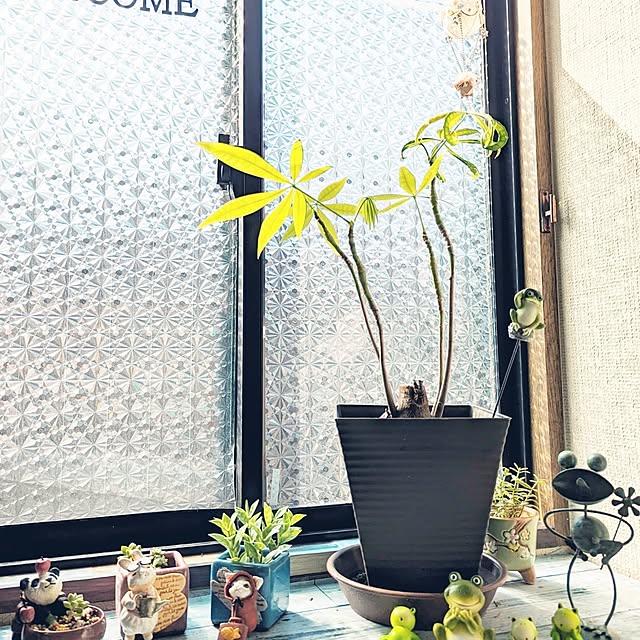 hiroさんの部屋