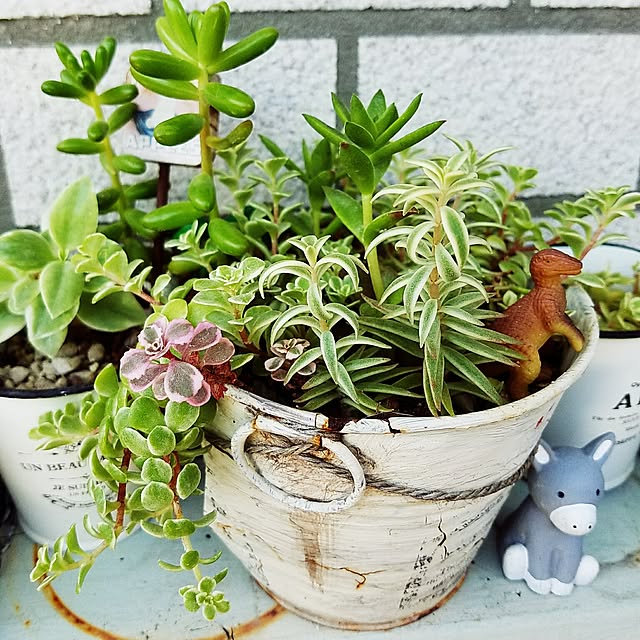 rocoさんの実例写真