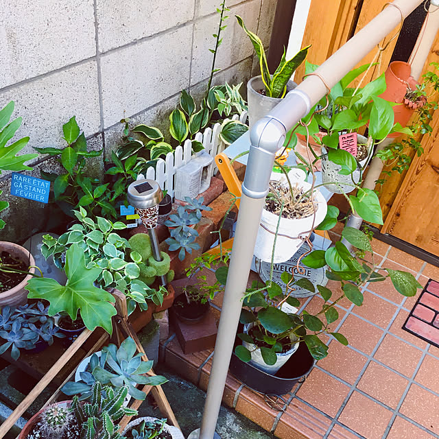 mimichankさんの実例写真