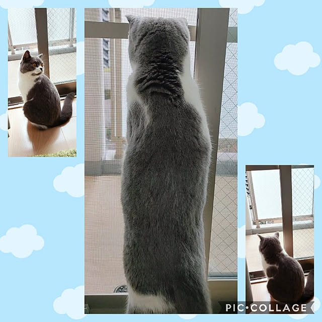 KEIKOさんの実例写真