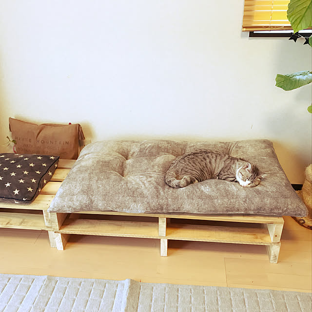 uumh.さんの実例写真