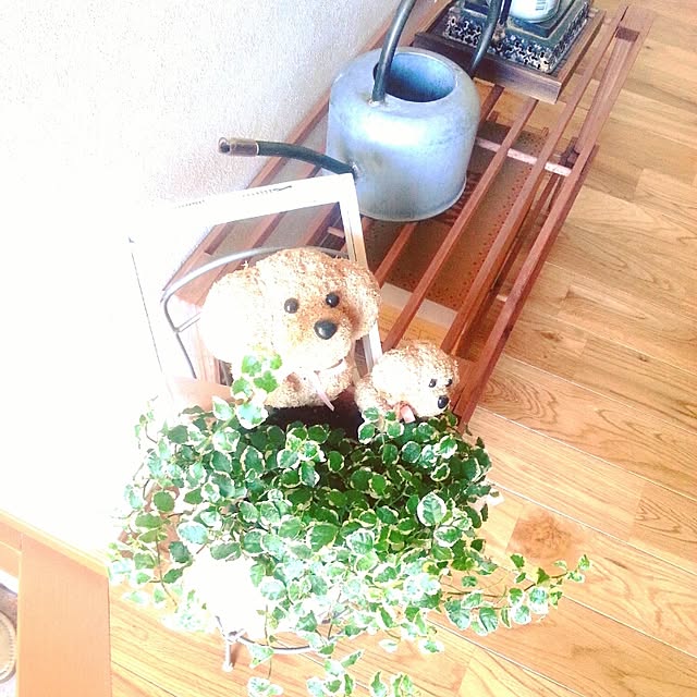 yutakatsu_ponさんの実例写真
