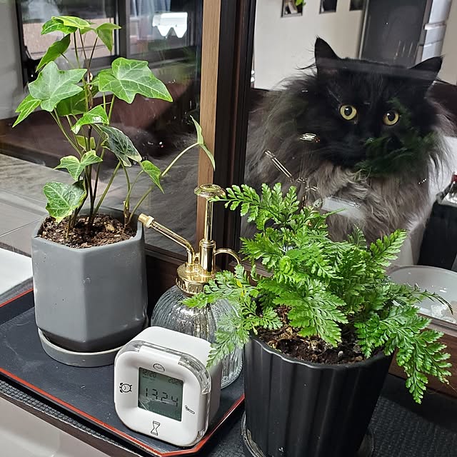 muku+maroさんの部屋