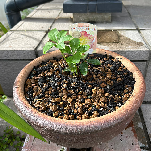 ritsukoさんの部屋