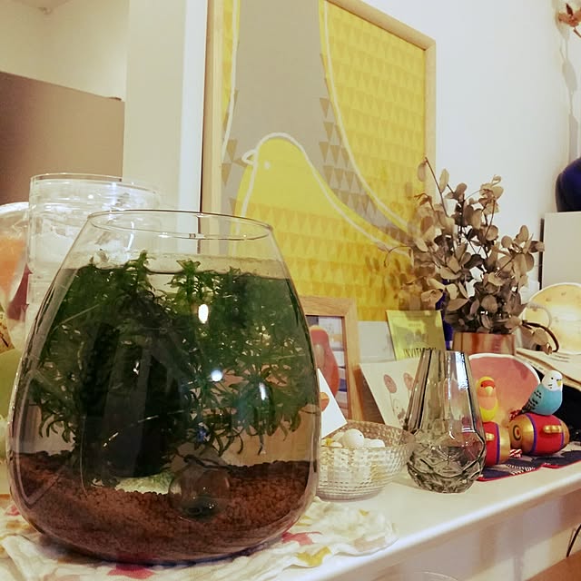 m-kinocoさんの実例写真