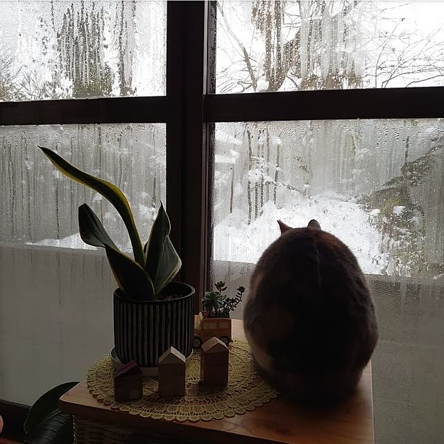 fukuさんの実例写真