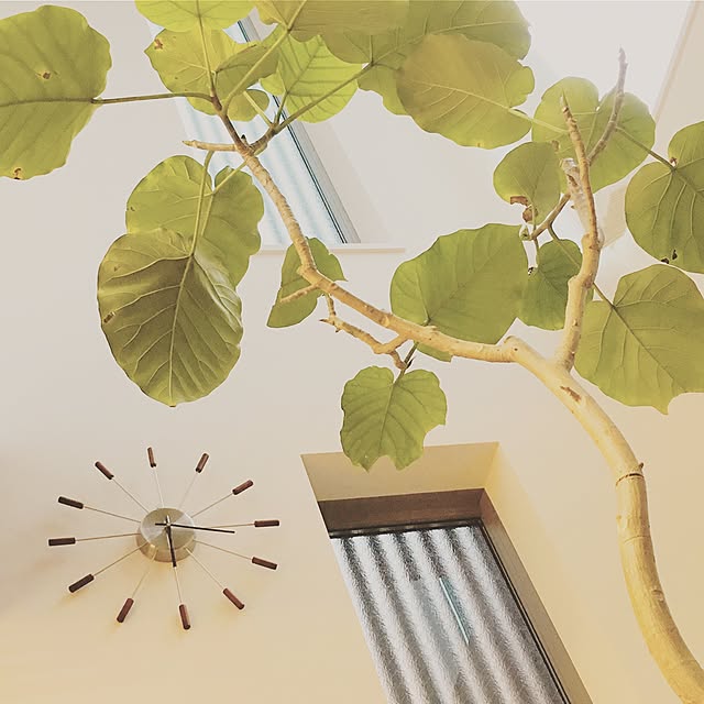壁/天井/吹き抜け/ルーバー/時計/観葉植物...などのインテリア実例 - 2017-05-14 18:18:52