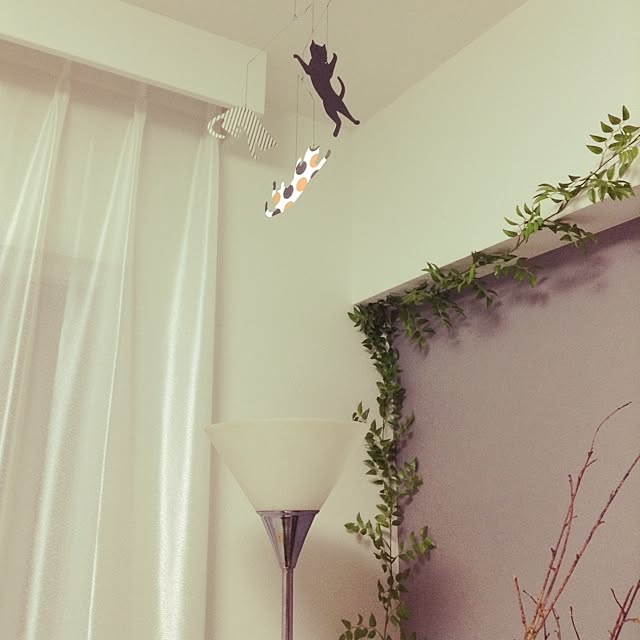 8249kozkさんの実例写真