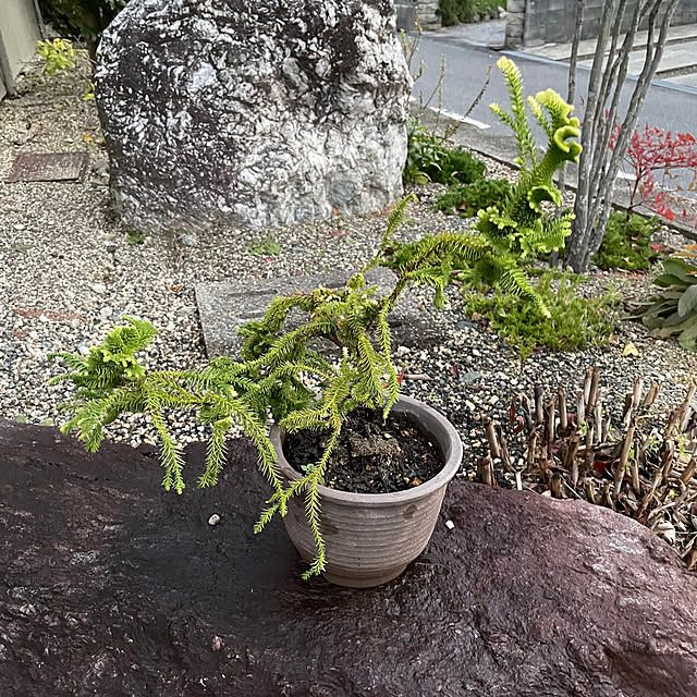 shin0719さんの部屋