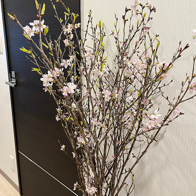 masa_0204さんの部屋