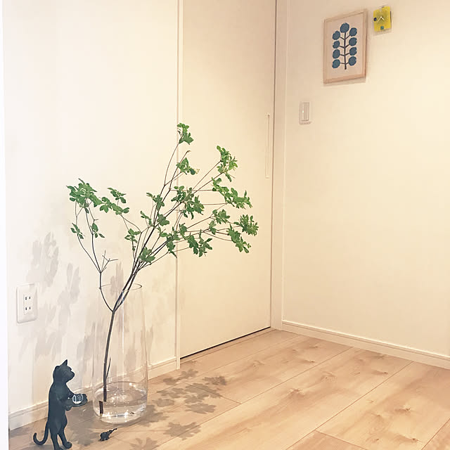 karimayuさんの実例写真
