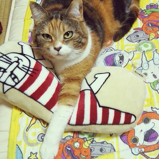 yukieさんの実例写真