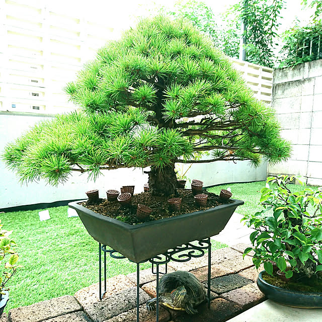 bonobono54さんの実例写真