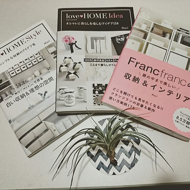 Hitomiさんの実例写真