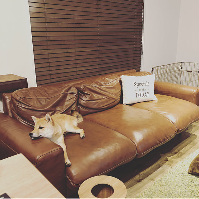 kiiinoさんの実例写真