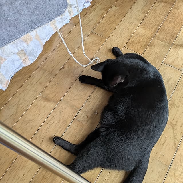 asaさんの部屋