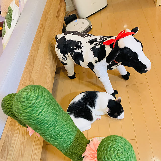 swv702さんの実例写真