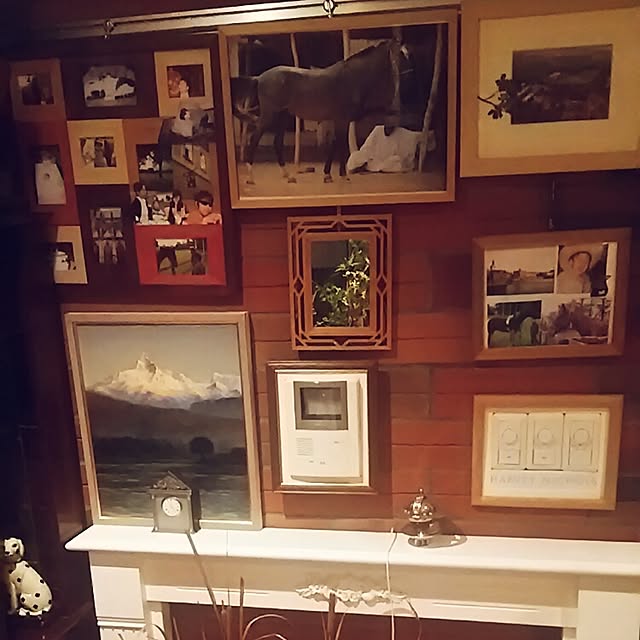spinetailさんの実例写真