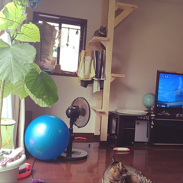 UNTYNさんの実例写真