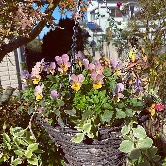tomoyo078078totomoさんの実例写真