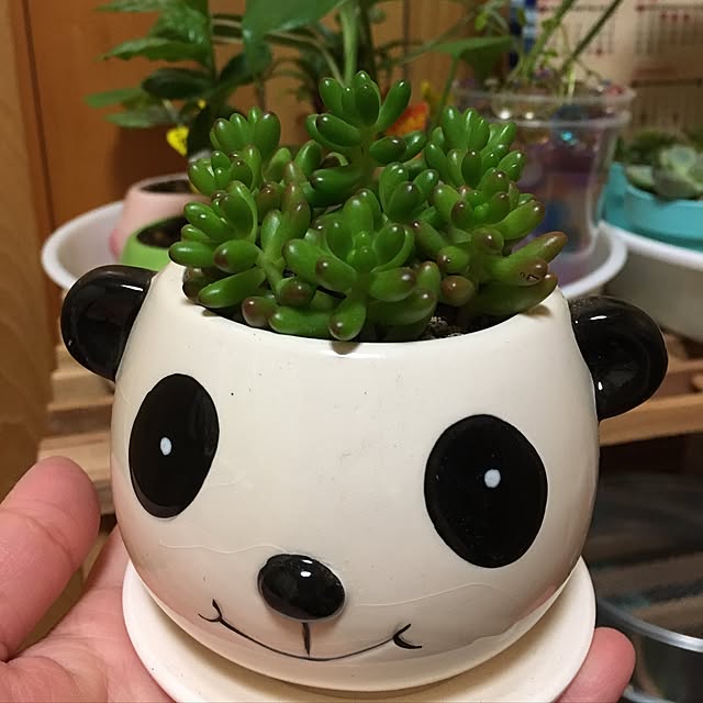 CHIROさんの実例写真