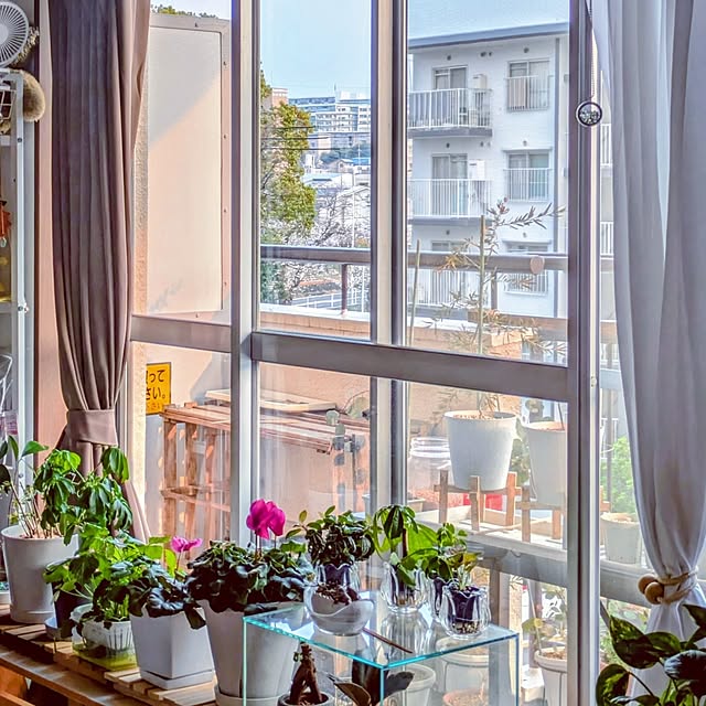 mi-saさんの部屋