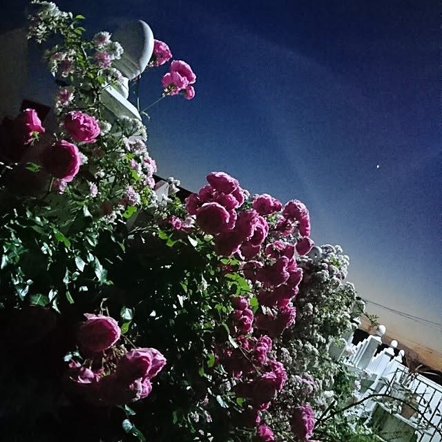 kiyosukeさんの実例写真
