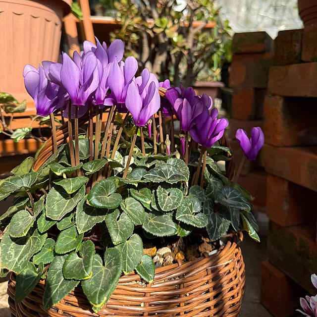 Aqettyさんの部屋