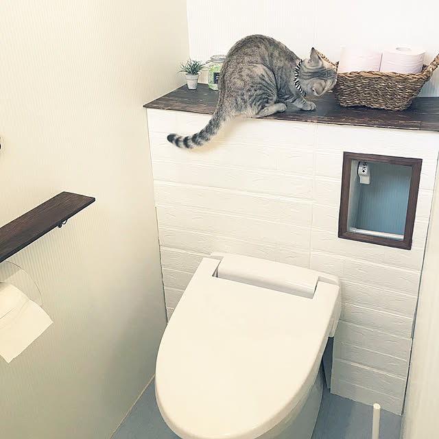 実例写真