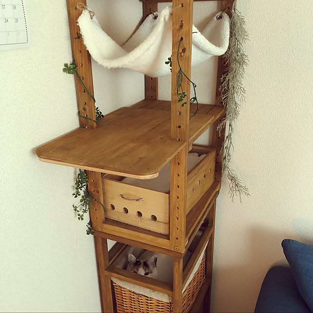 shirokuma1461さんの実例写真