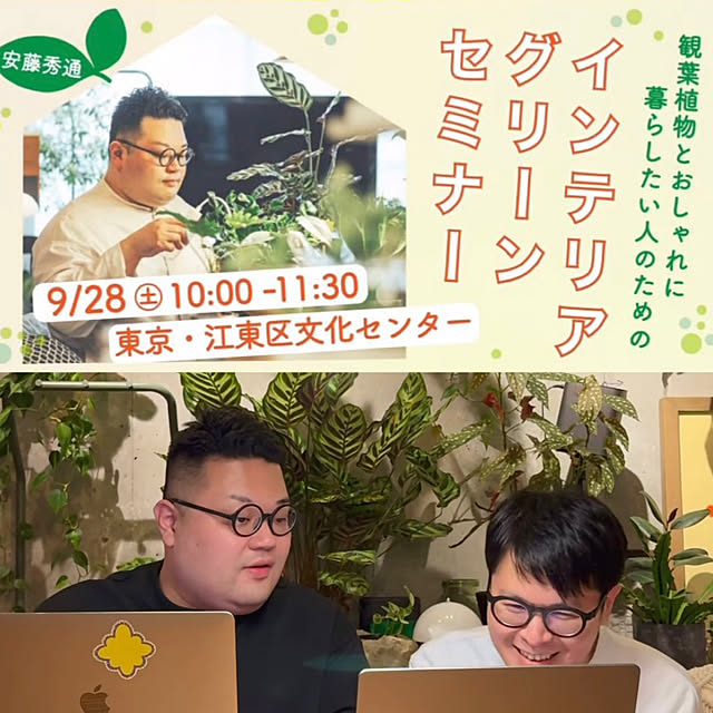 実例写真