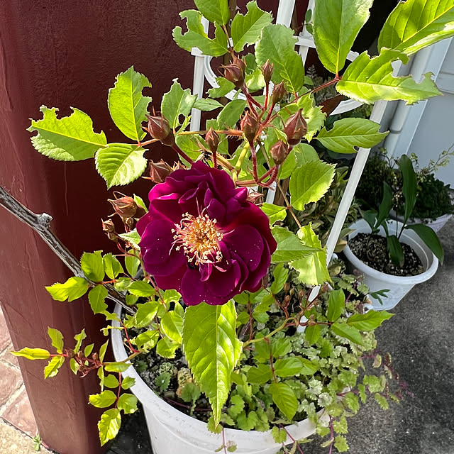 AYUKOさんの部屋